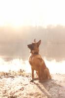 Savannah RIONDET - 0poilphotographie