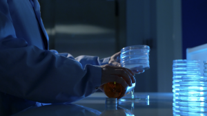 Benjamin ZERAH - BENJAMIN ZERAH